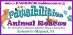 PAWSIBILITIES ANIMAL RESCUE SUMMER CAMP